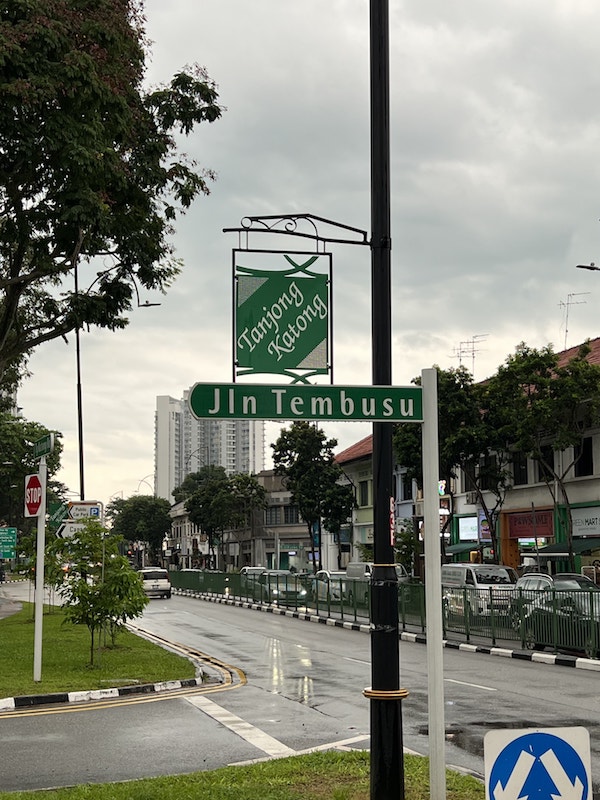 Upcoming_MasterPlan_Developement_for_Tembusu_Grand_Condo_New_Launch_at_Jalan_Tembusu_by_City_Developments_Limited_CDL